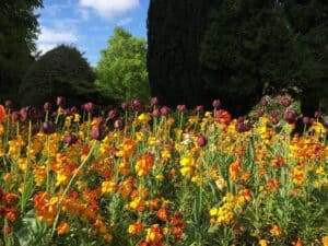 Castle Gardens